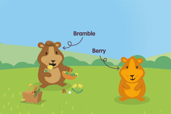 Berry & Bramble