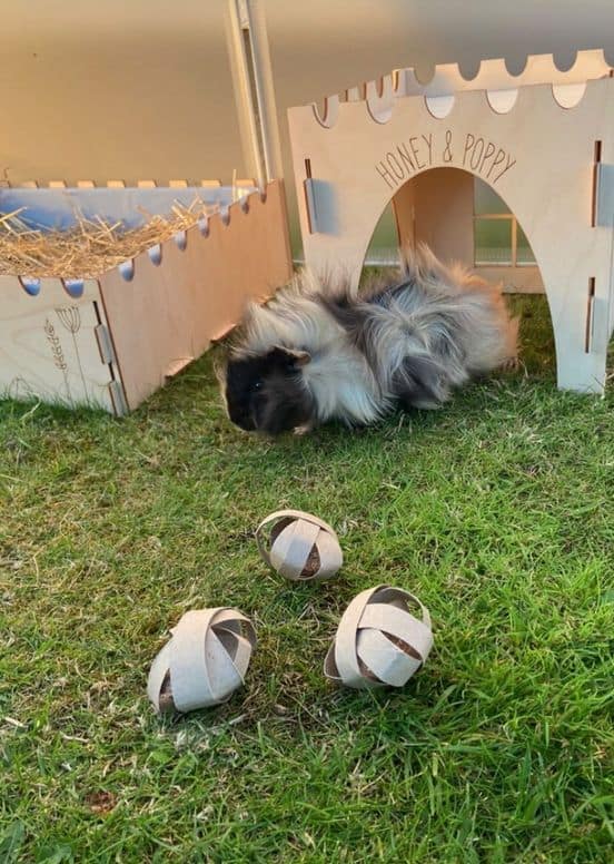 DIY Guinea Pig Cage and Terry Tunnel Made of 70% Recycled