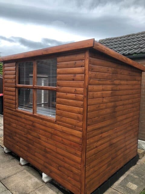 guinea pig shed