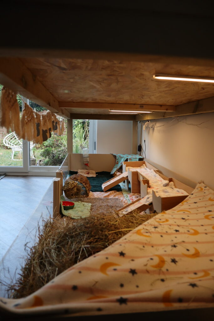 Simple DIY housing ideas for your guinea pigs