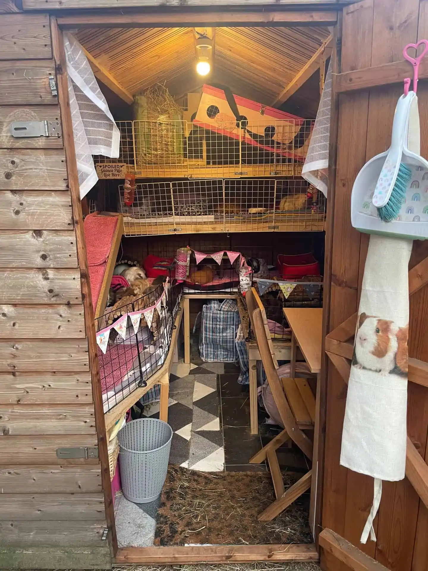 Diy guinea discount pig hutch outdoor