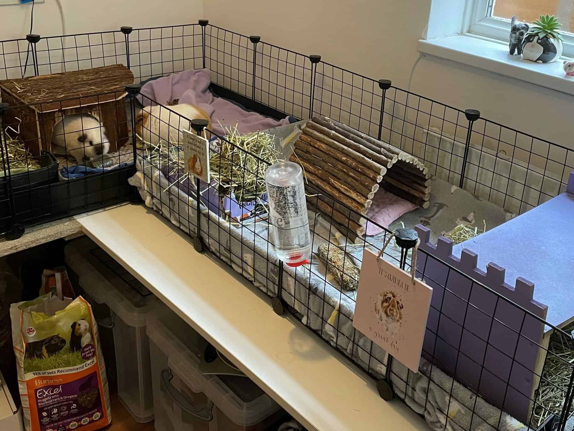 Homemade guinea pig clearance cage